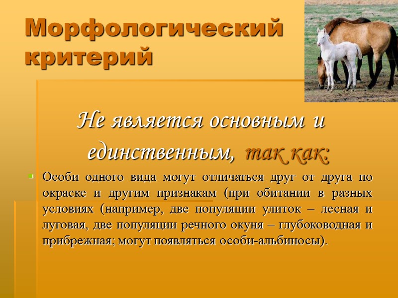 Морфологический критерий Не является основным и единственным, так как: Особи одного вида могут отличаться
